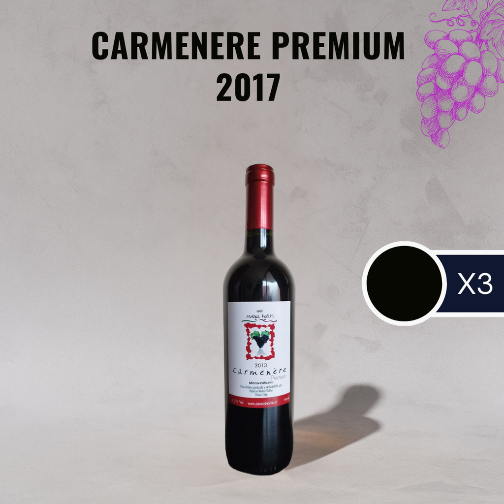 3 x Carmenere premium 2017