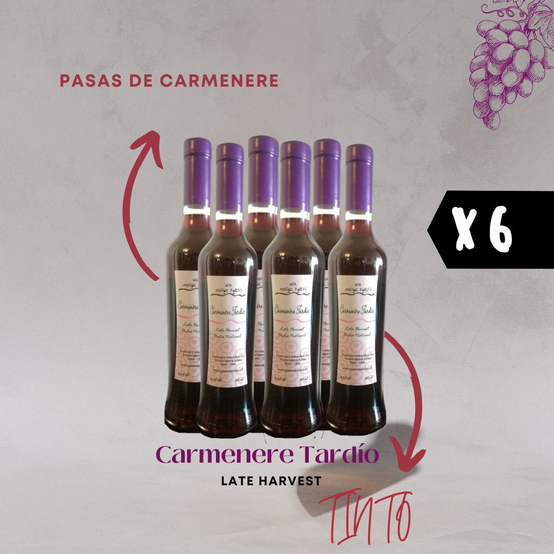 6x Late Harvest Carmenere Tardío