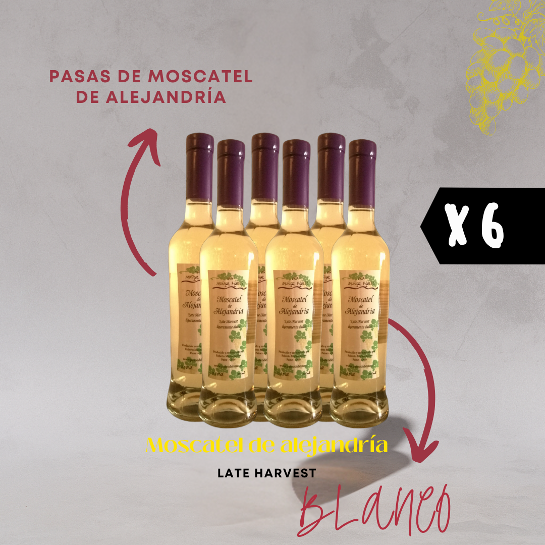 6x Late Harvest Moscatel de Alejandría