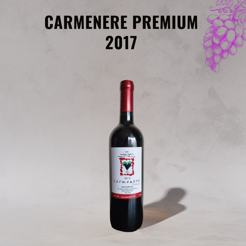 1 x Carmenere premium 2017