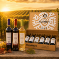 Pack Cyber Experiencia Completa