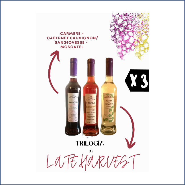 50 x Box regalo Trilogia de Late Harvest + envío gratis